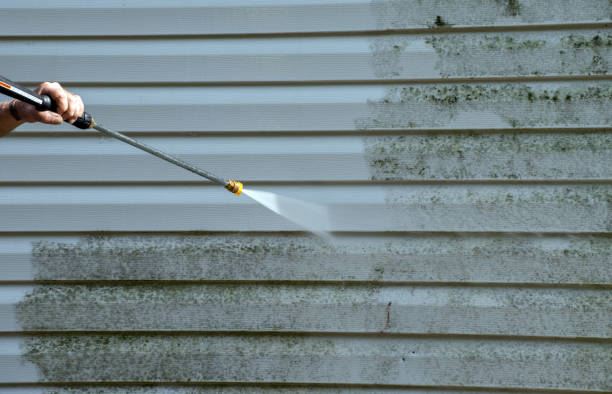 Best Roof Pressure Washing  in Dimondale, MI