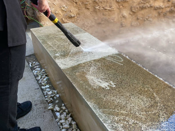 Best Sidewalk Pressure Washing  in Dimondale, MI