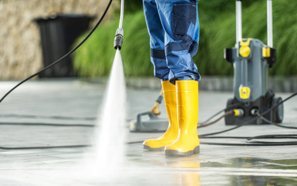 Best Exterior Home Cleaning  in Dimondale, MI
