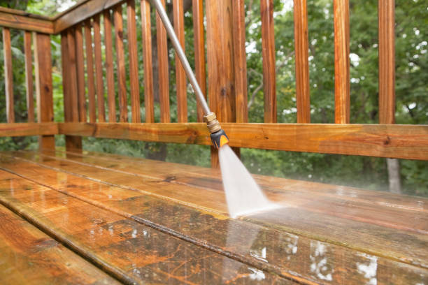 Best Deck Pressure Washing  in Dimondale, MI
